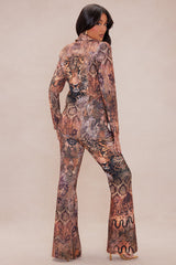 Exotic Suit Set - Brown Combo
